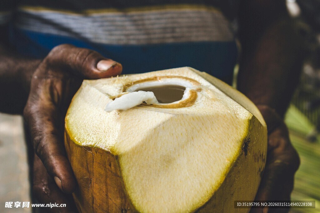 手持切开的新鲜椰子