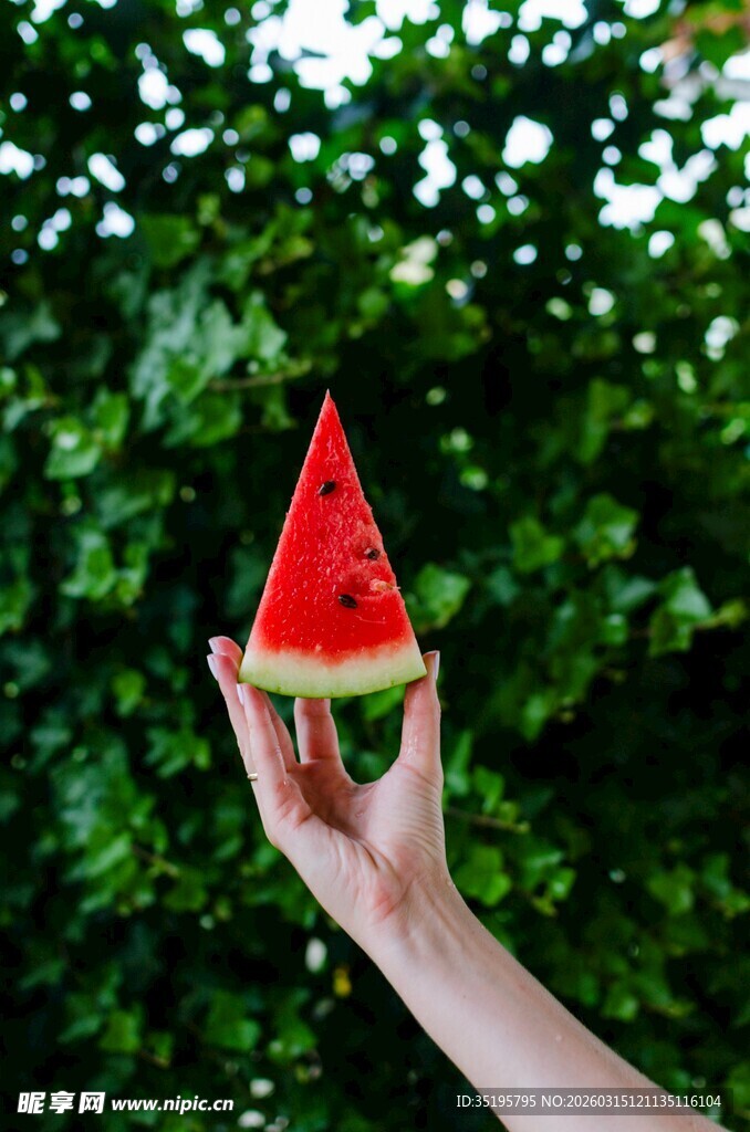 手捧西瓜片