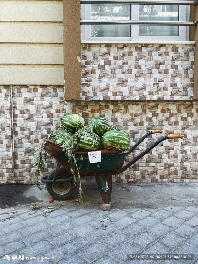 庭院中的绿植手推车