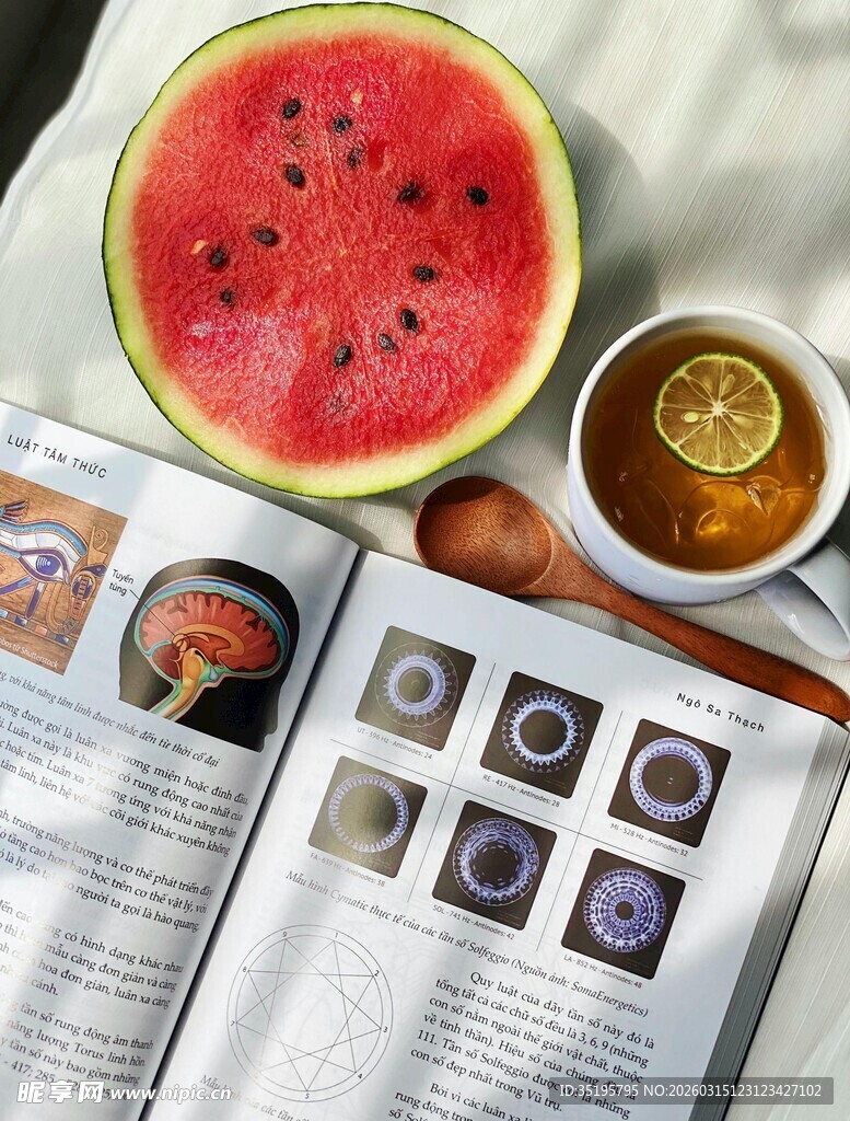 夏日阅读时光与美味西瓜