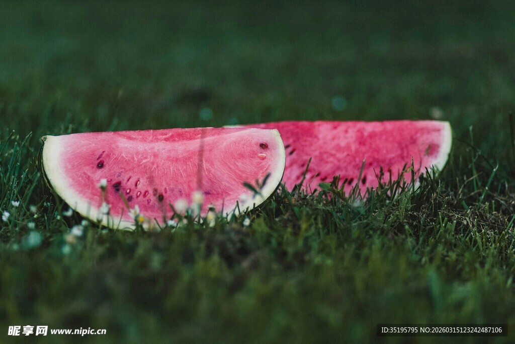 草地上的两片西瓜切片