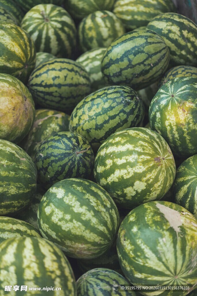 一堆新鲜诱人的大西瓜