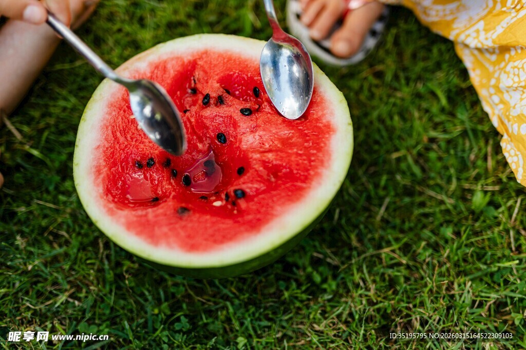 草地上共享美味西瓜