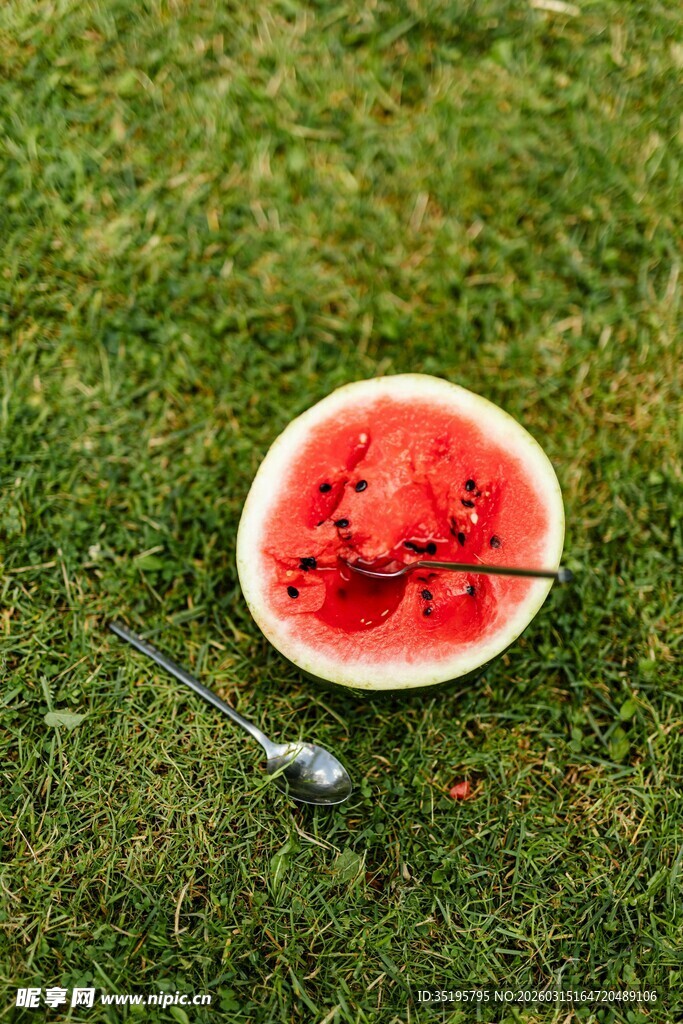 草地上的半块西瓜