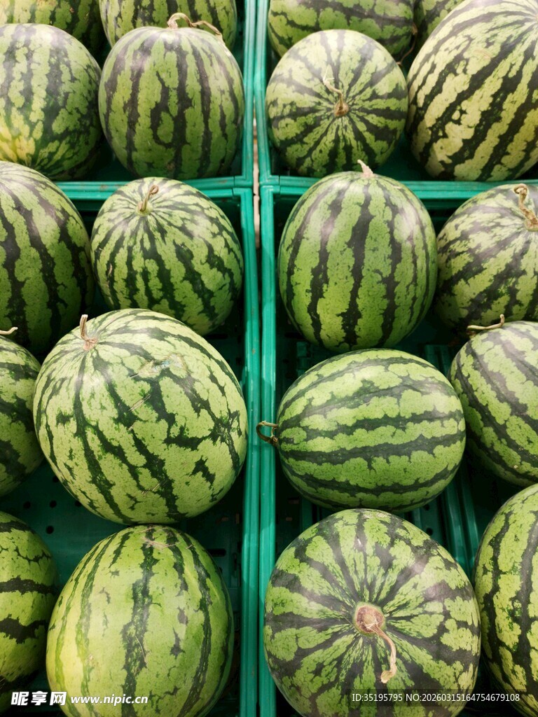 整齐摆放的新鲜大西瓜