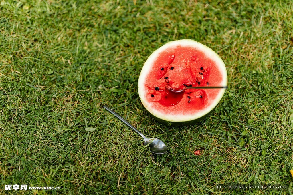 草地上的西瓜与勺子