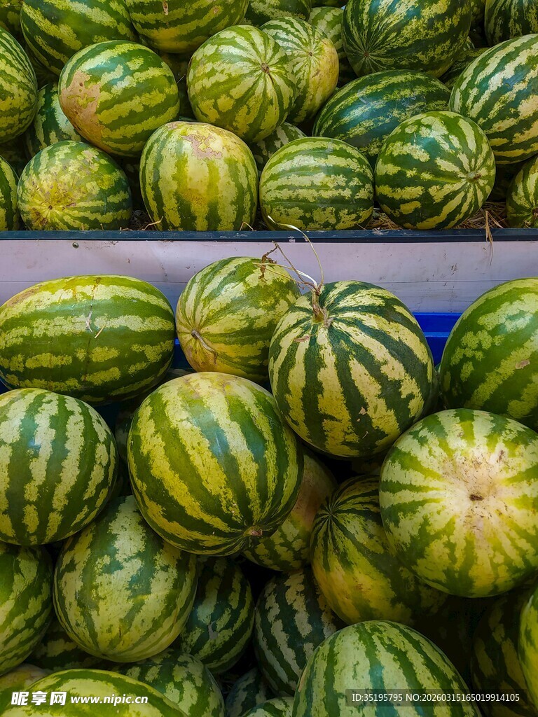 新鲜条纹西瓜整齐摆放