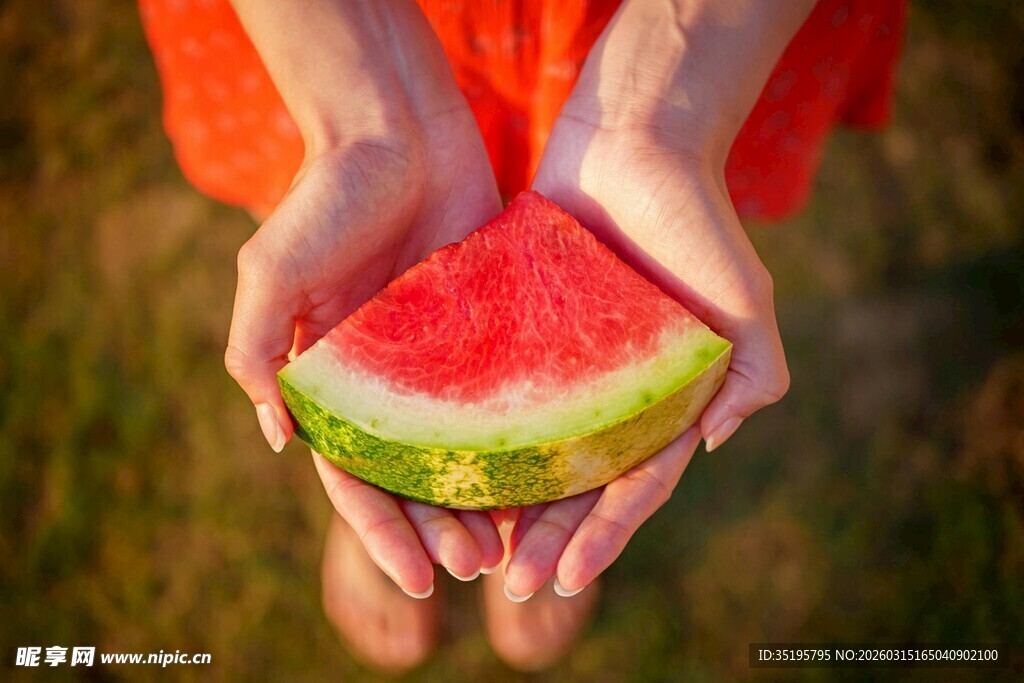 双手捧起的甜蜜西瓜