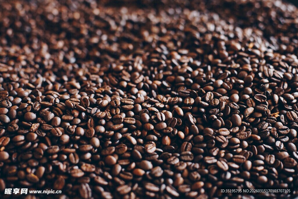 饱满黑褐色芝麻颗粒特写