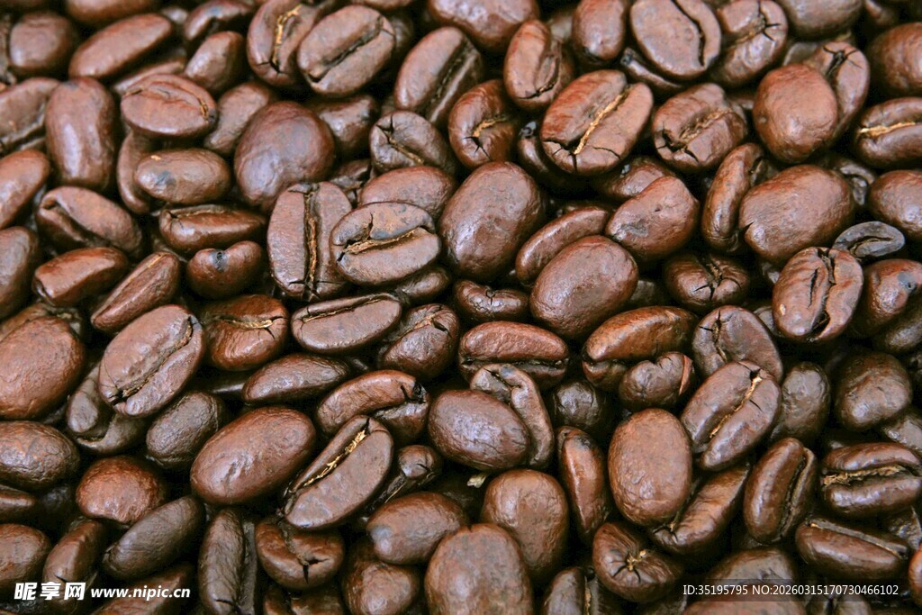 饱满咖啡豆特写