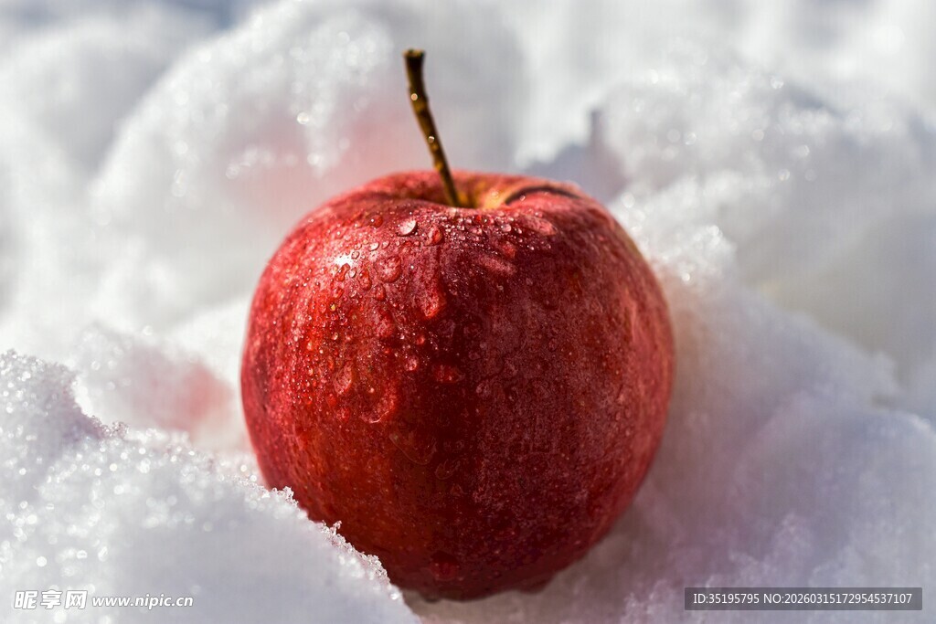雪上红苹果清新又诱人