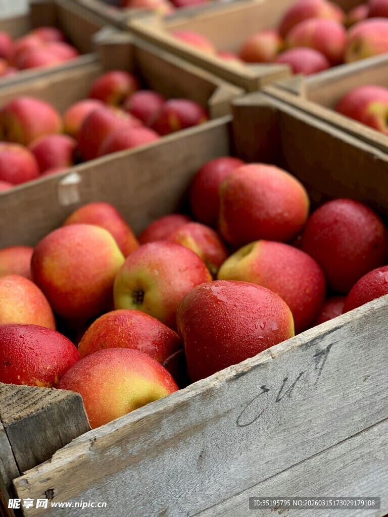 木箱中的新鲜红苹果