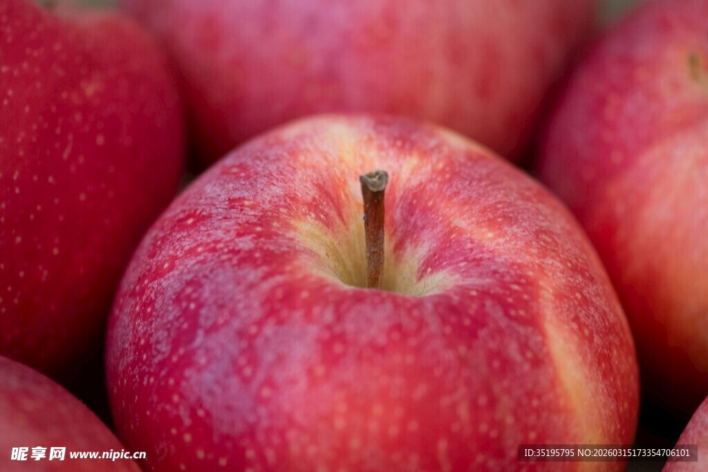 红苹果特写