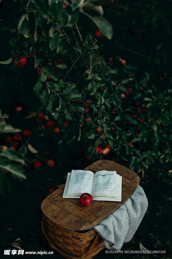 树下翻开的书与红苹果