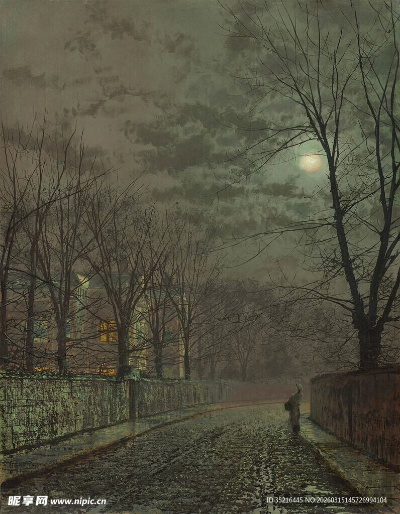 月夜下的林间静谧小路