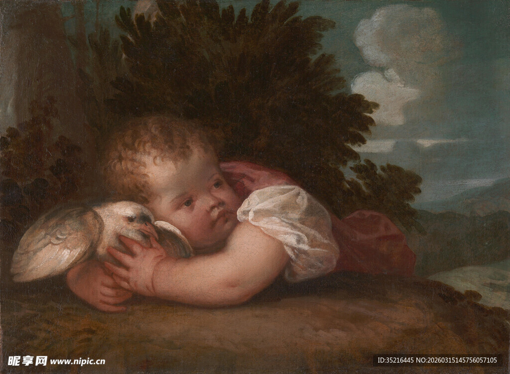 熟睡的孩童与白鸽