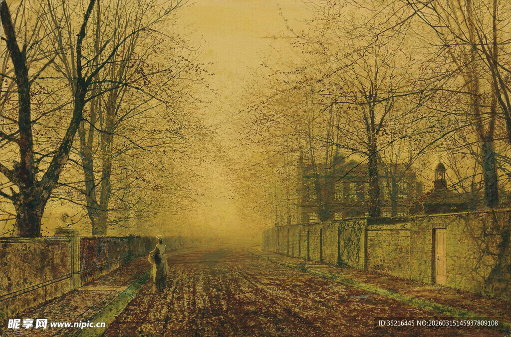 雾中冬日街道景象