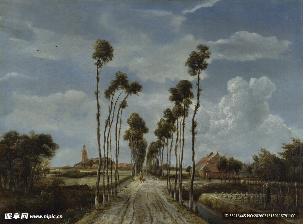 乡村林荫道风景