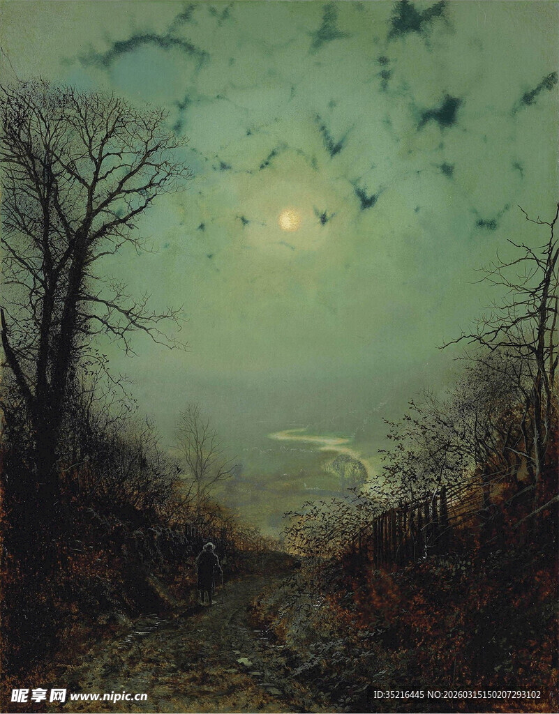 月夜下的幽径与飞鸟