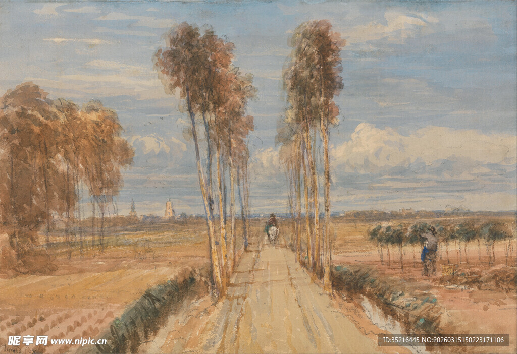 田野间的树木与行人小道