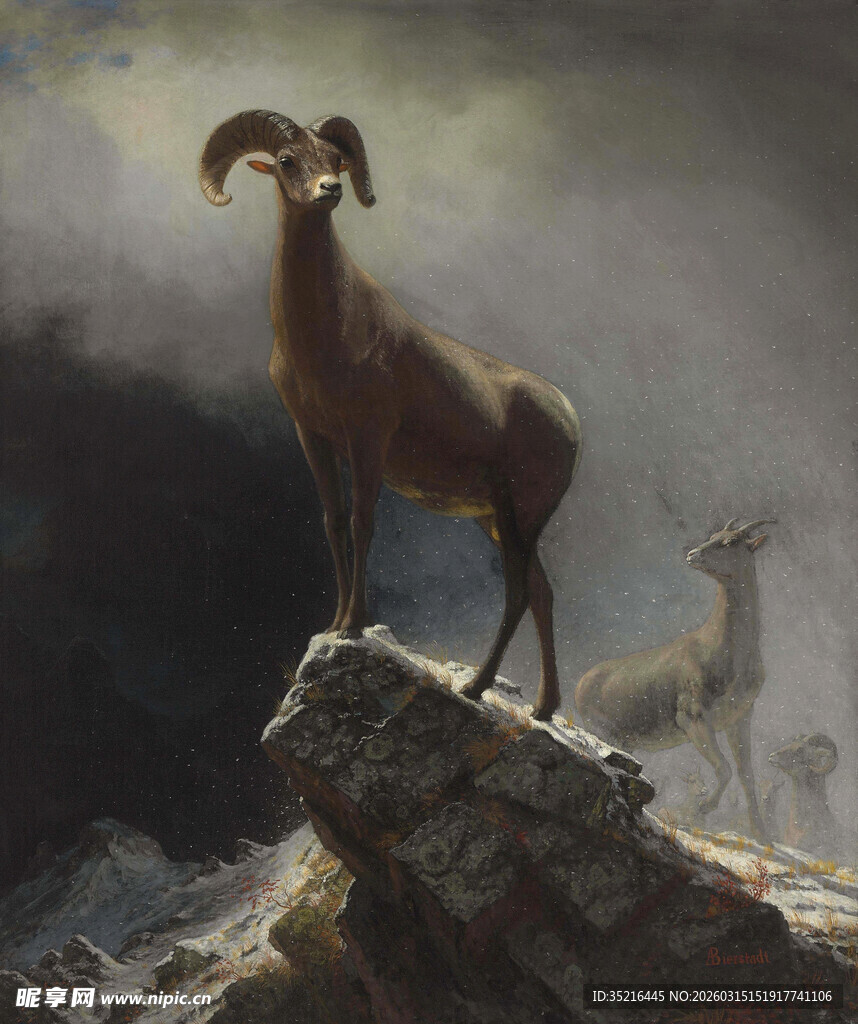 岩羊立于山巅