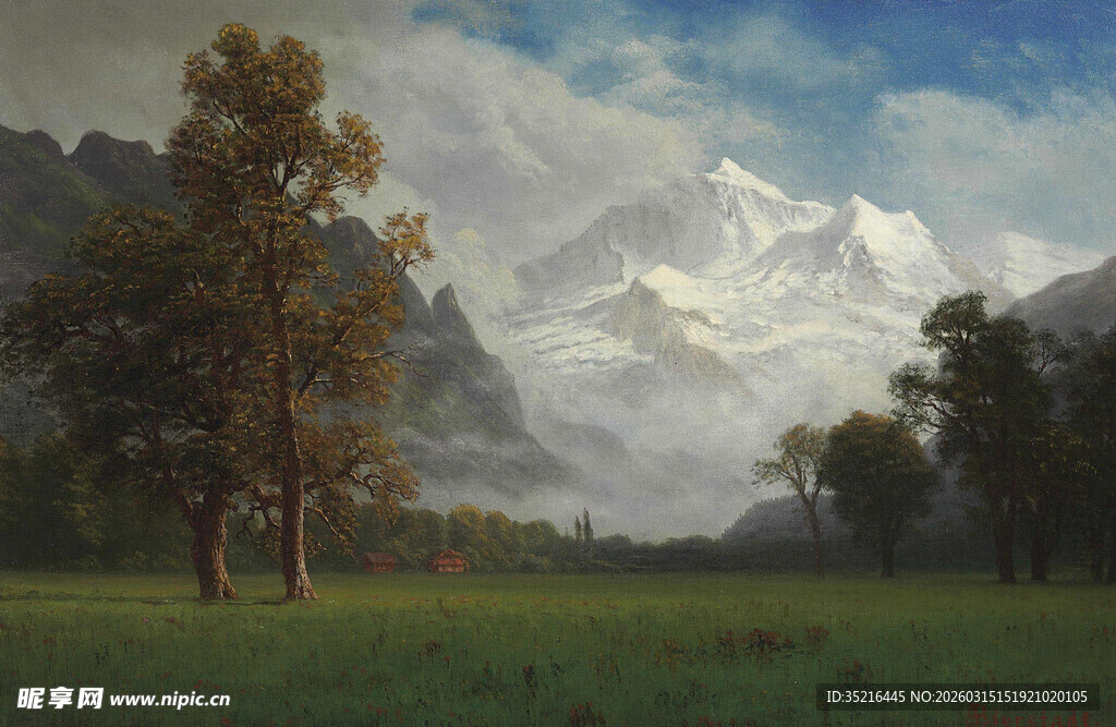 雪山下的葱郁草地风光