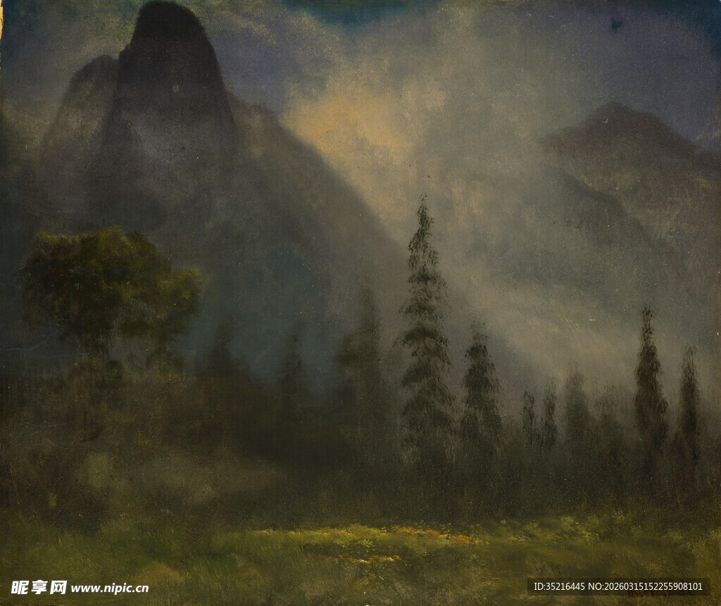 山间晨雾中的森林美景