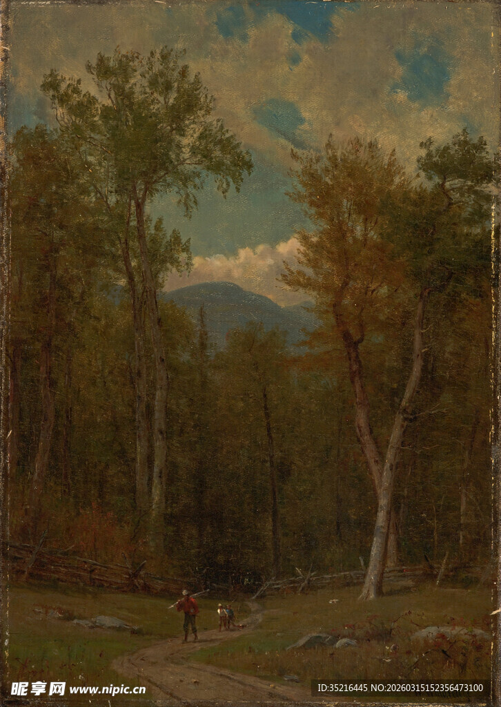 森林中的静谧自然风景