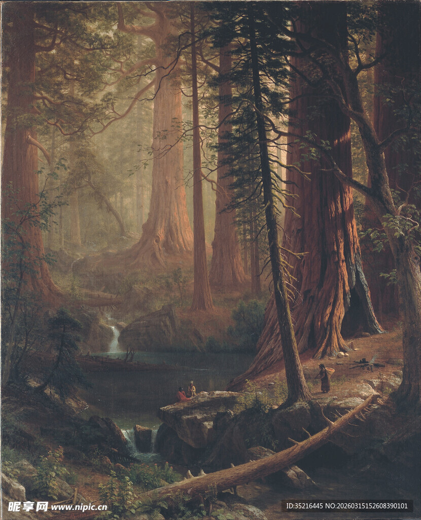 梦幻森林中的静谧溪流