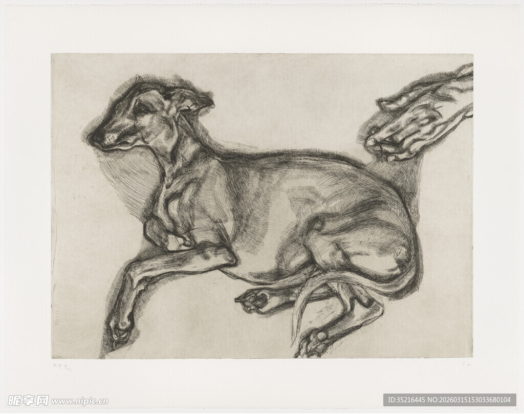 素描中的奔跑猎犬