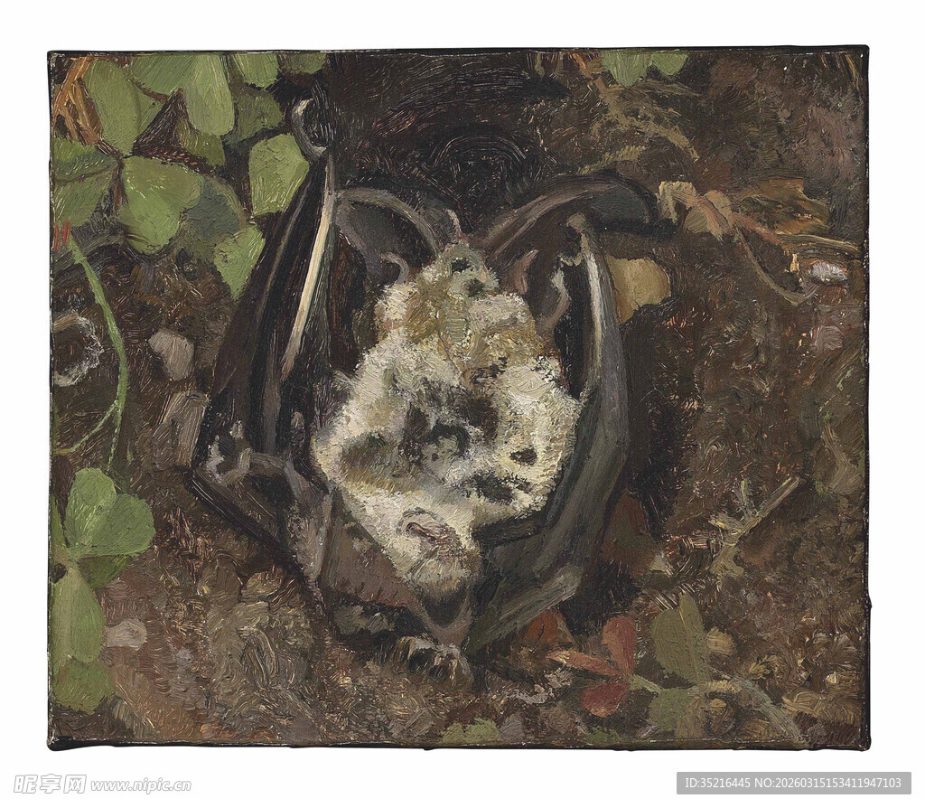 草丛中的破旧鞋子与杂物