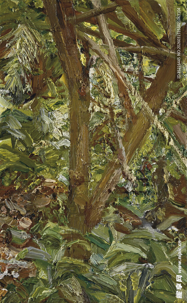 茂密丛林中的繁茂植物