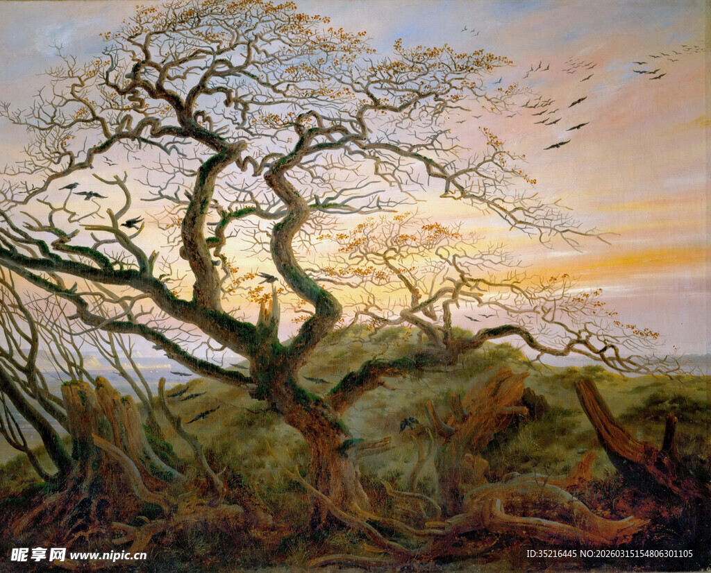 尽显自然之苍茫