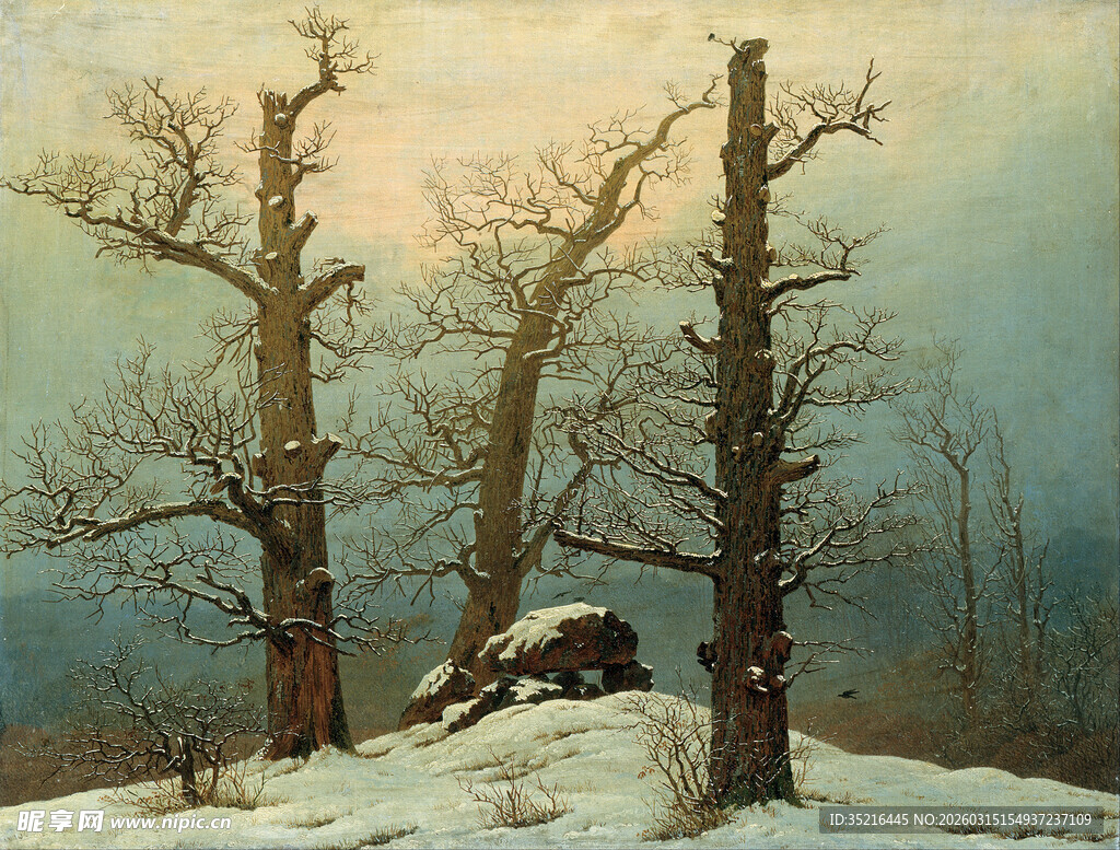 冬日雪林枯树景象