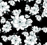 黑白花卉图案背景
