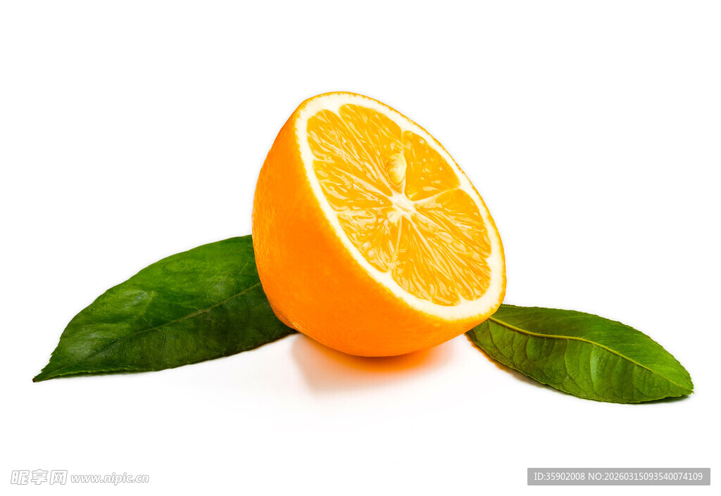 鲜橙切片带绿叶