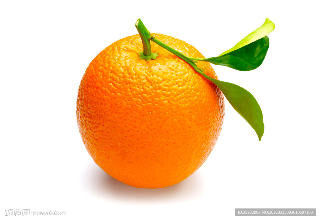 新鲜橙子绿叶相伴