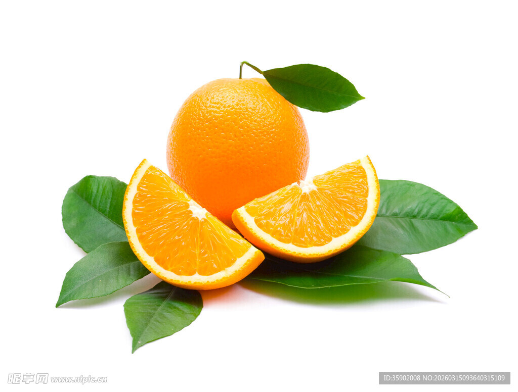 新鲜橙子带叶切片展示