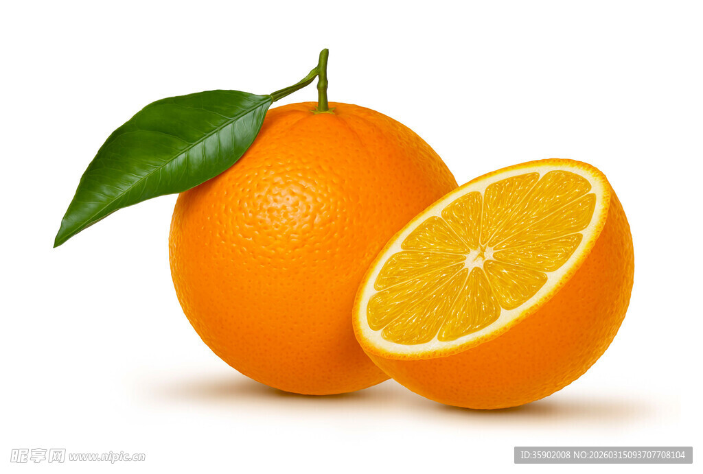 新鲜橙子完整与切片展示