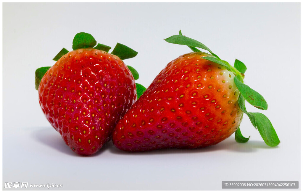 新鲜诱人的双颗红草莓