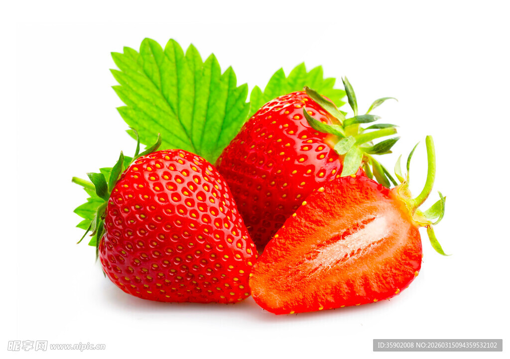 新鲜草莓绿叶相伴