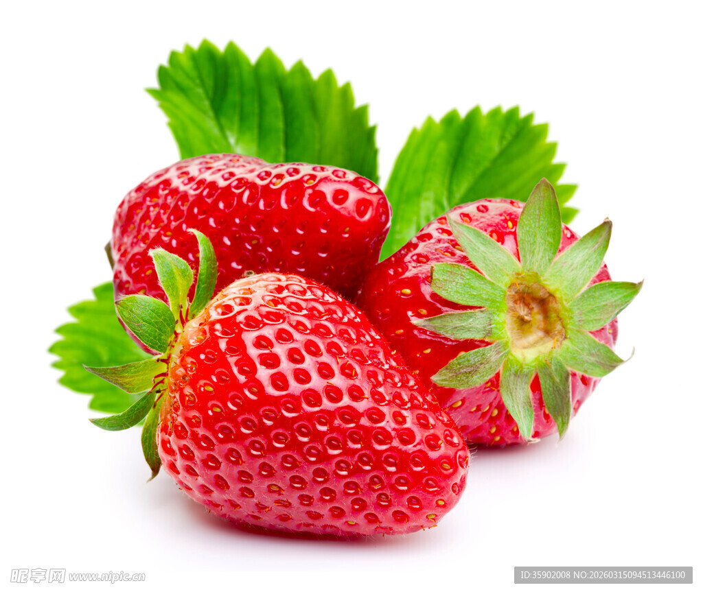 新鲜草莓饱满多汁色泽艳