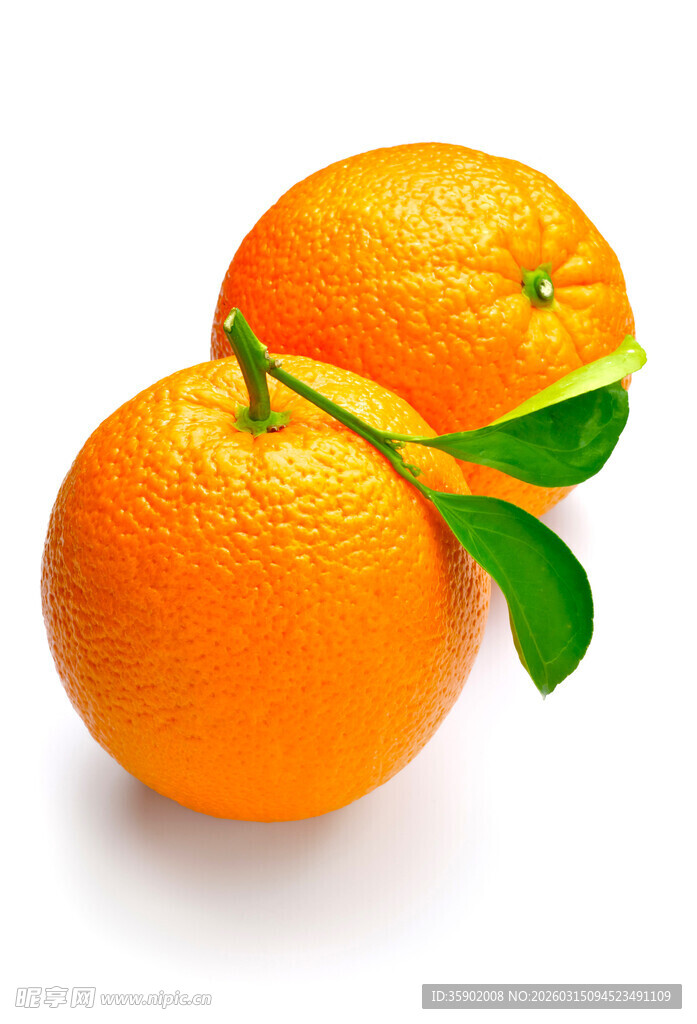 两个带叶鲜橙