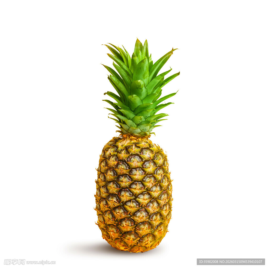单个新鲜菠萝特写