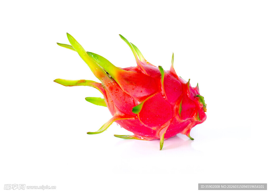 鲜艳火龙果特写