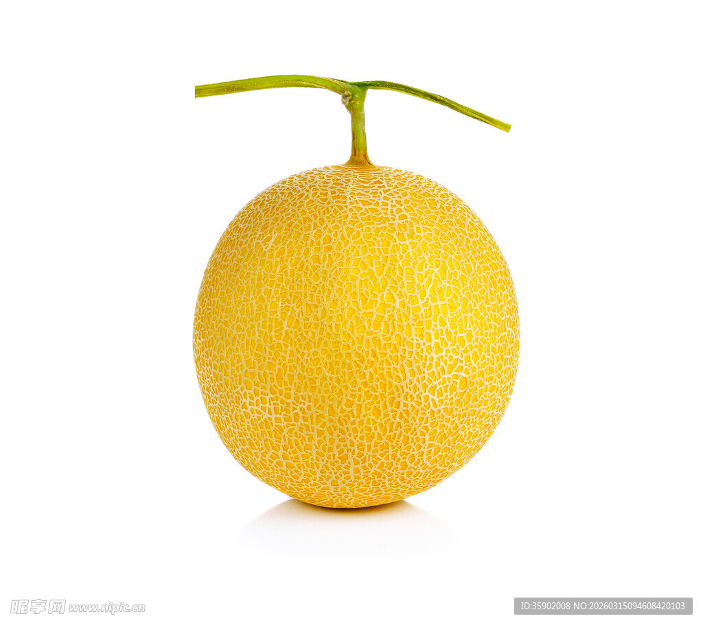 金黄甜瓜清新诱人