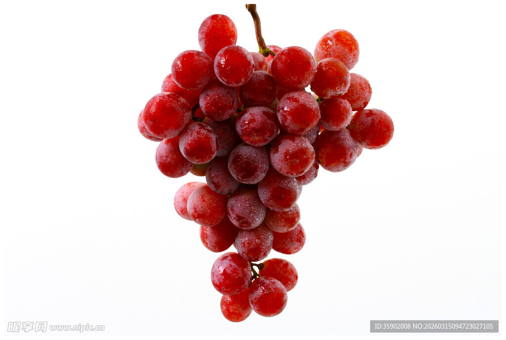 一串鲜红饱满的美味葡萄