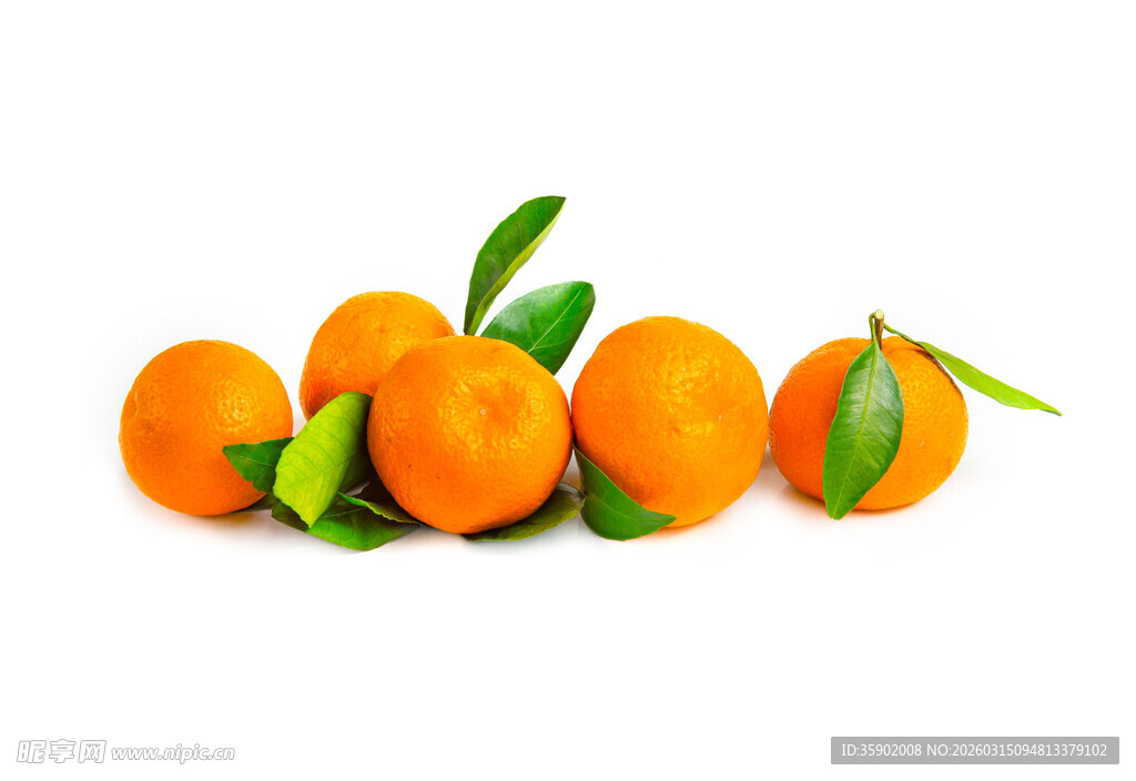 新鲜带叶橙子摆拍