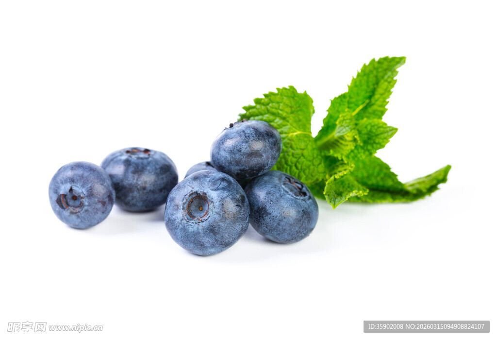 新鲜蓝莓配薄荷叶