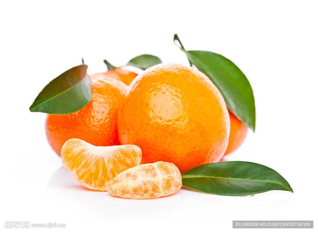 新鲜橘子带叶摆拍